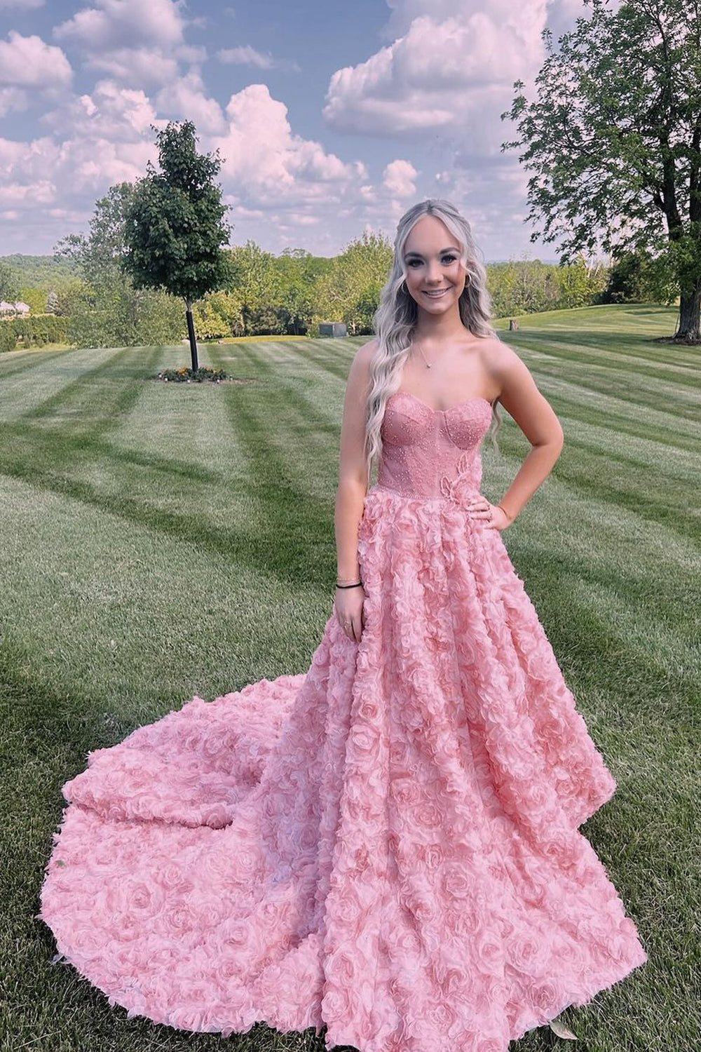 Princess Ball Gown Sweetheart Pink 3D Flower Lace Prom Dresses AB24090709-1