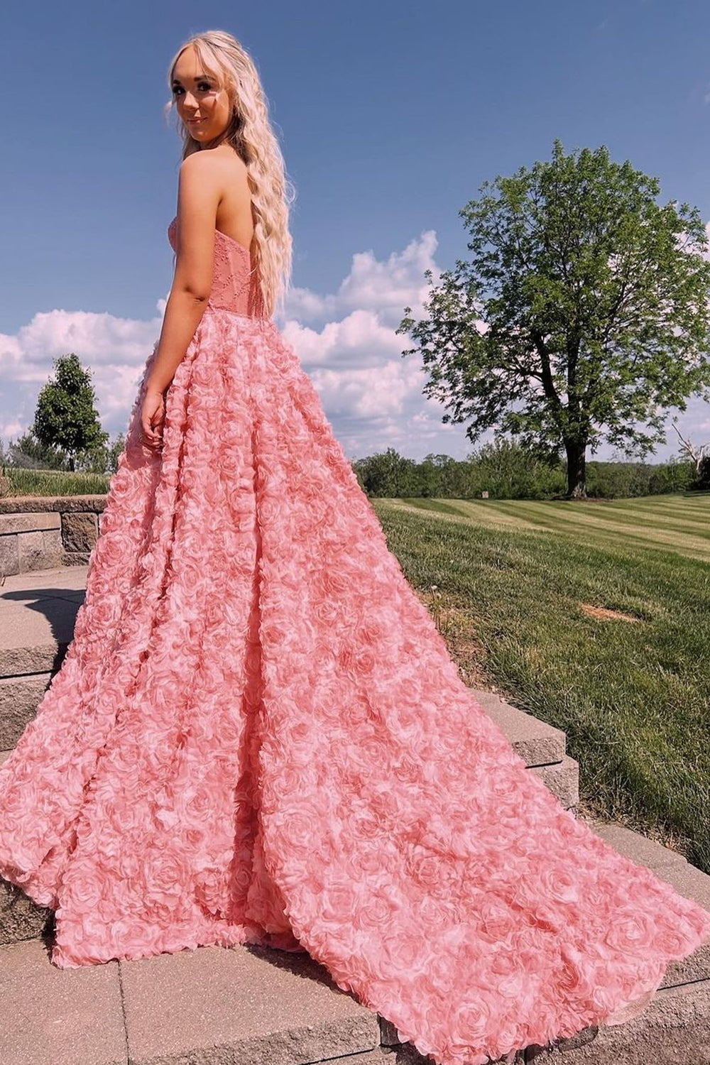 Princess Ball Gown Sweetheart Pink 3D Flower Lace Prom Dresses AB24090709-2